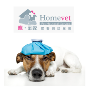 Yuen long veterinary services 