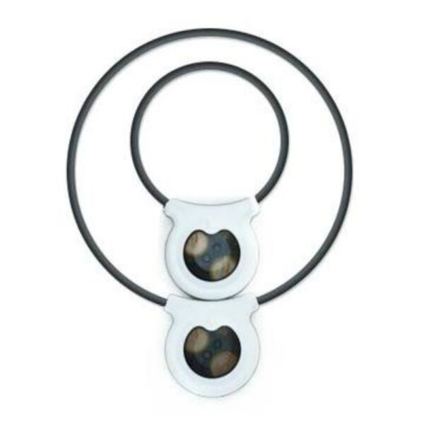 assi loop to promote healing in pet