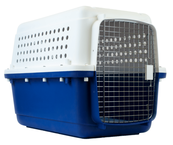 blue and white coloured kennel to transport dogs and puppies