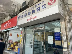 fanling animal hospital for vet services
