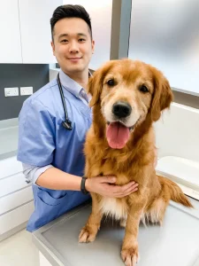 smiling veterinary doctor and golden retriever at vet clinic