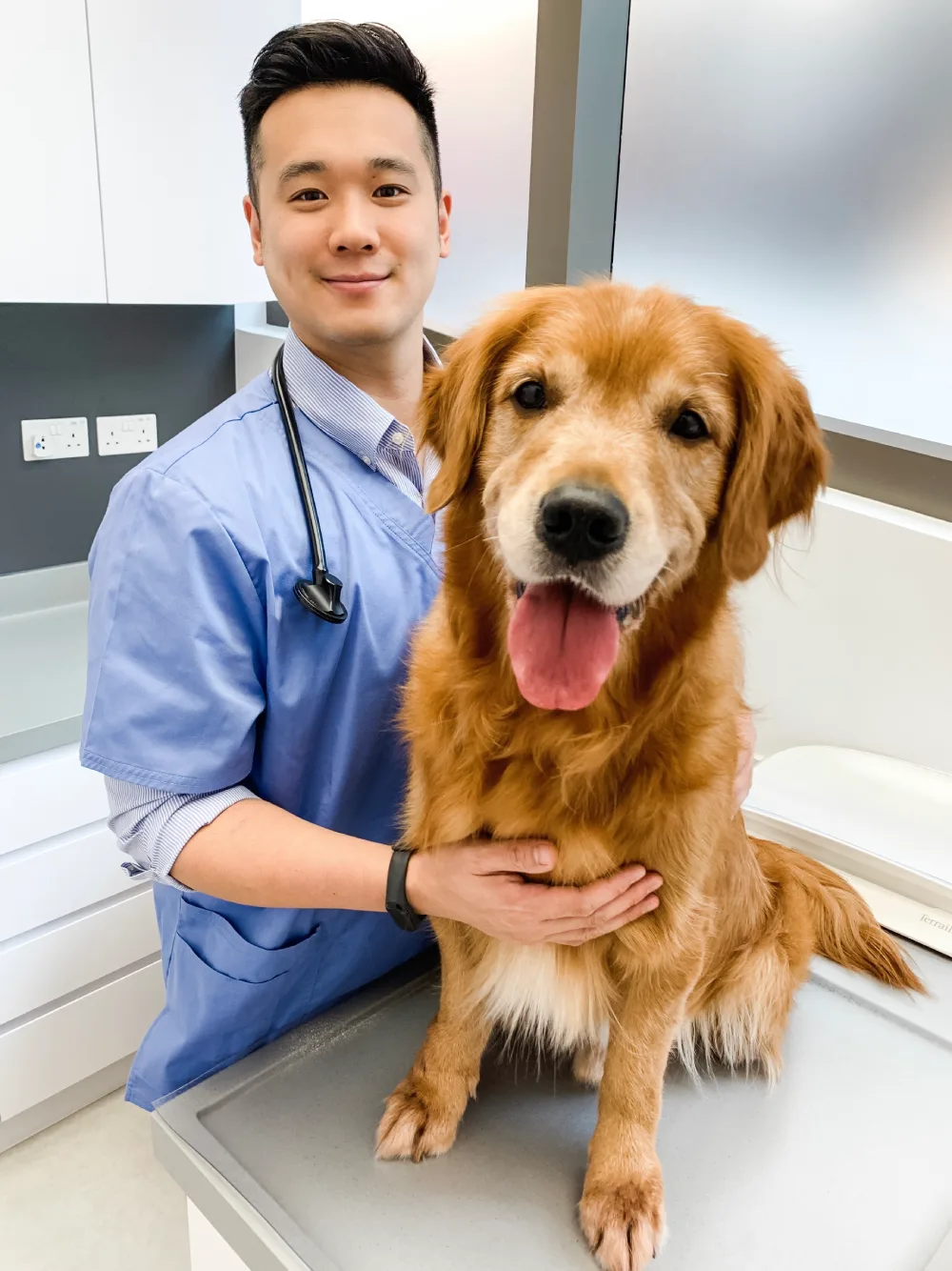 smiling veterinary doctor and golden retriever at vet clinic