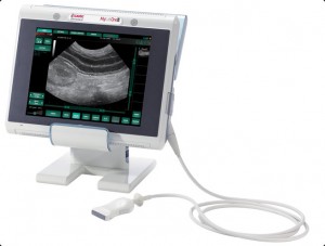 Homevet mobile touch-screen ultrasound