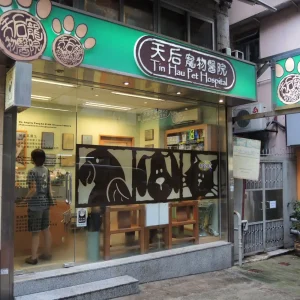 tin hau pet hospital