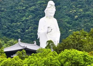 tsz shan monastry in hong kong