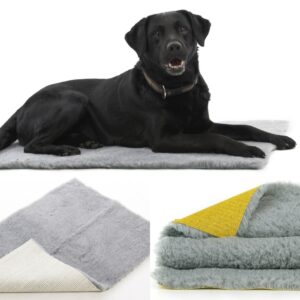 mattress for dog and black dog is sitting on it