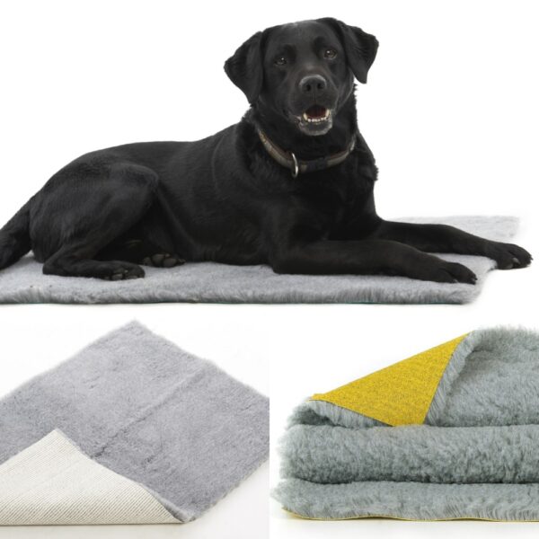 mattress for dog and black dog is sitting on it