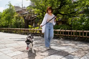 asian woman walking with a siberian dog in a street
