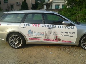 homevet veterinary service car for travelling homes of pet owners to give veterinary services at home