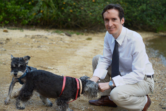 veterinary doctor mathew in shirt, pant and tie caring two dogs