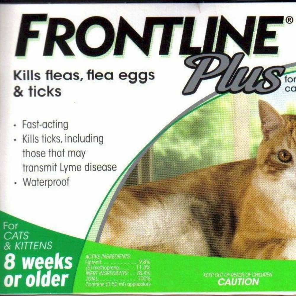 Essential Care Products for Your Beloved Cat | Homevet