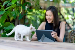 khao manee white cat enjoying with is female owner