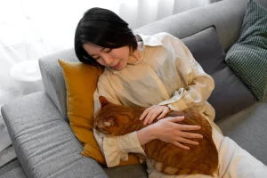cat sleeping in the arms of woman