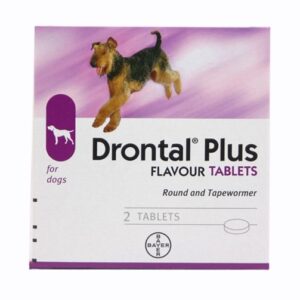 drontal plus flavour tablets for worms in dogs