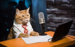 cat in white shirt and tie infront of mike looking on the electronic screen which looks funny