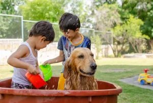 kids having fun while showering with dog in the garden