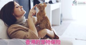 香港的宠物保险