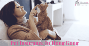 owner showing affection to her cat