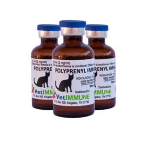 polyprenyl immunostimulant for better health of cats