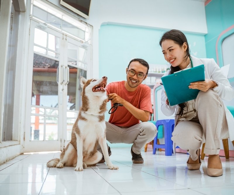 owner with dog at home and vet doctor giving health services at home