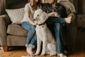 lanky white dog in front of its owners at home