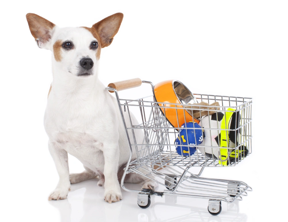 dog along with shopping cart which has dog's toys and food bowl