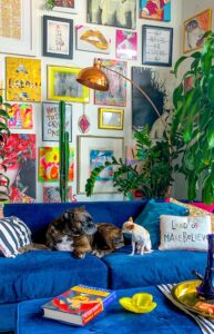 two dogs in sofa at beautifully decorated room