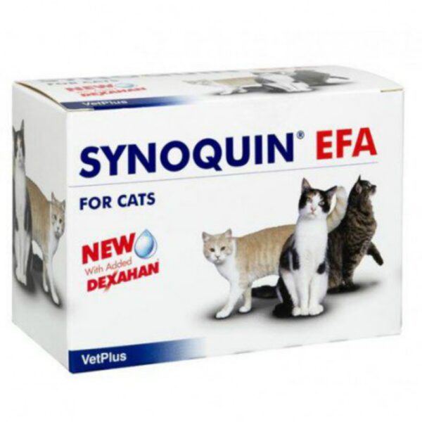 synoquin efa for cats