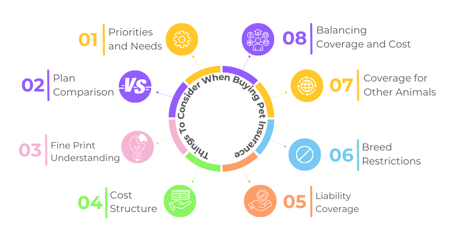 Things to consider when buying pet insurance Infographics