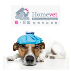 vet in Tung Chung