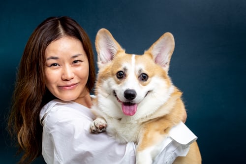 young asian lady holding pembroke welsh corgi on her arm